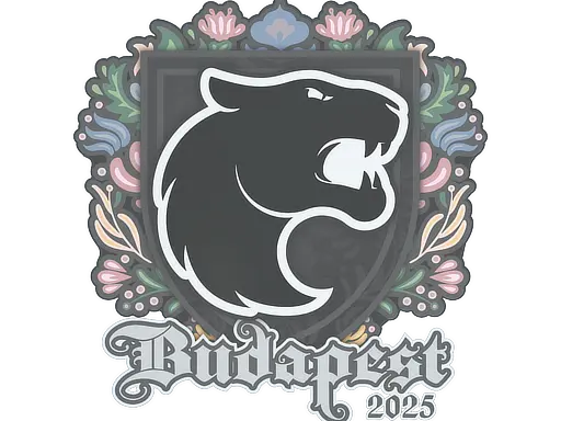 Sticker | FURIA | Budapest 2025
