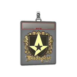 Sticker Slab | Astralis image
