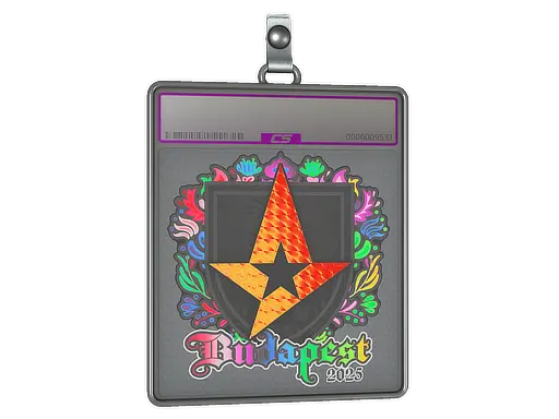 Sticker Slab | Astralis (Holo) | Budapest 2025