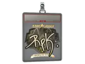 Sticker Slab | RpK image
