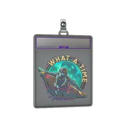 Sticker Slab | Wingsuit image