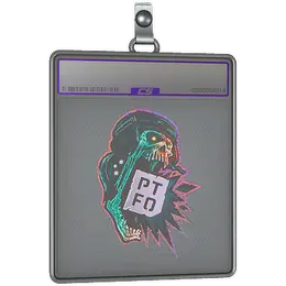 Sticker Slab | PTFO image