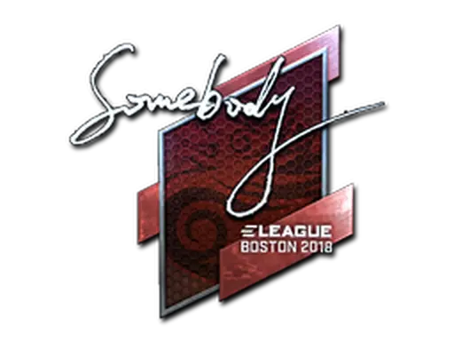 Sticker | somebody (Foil) | Boston 2018