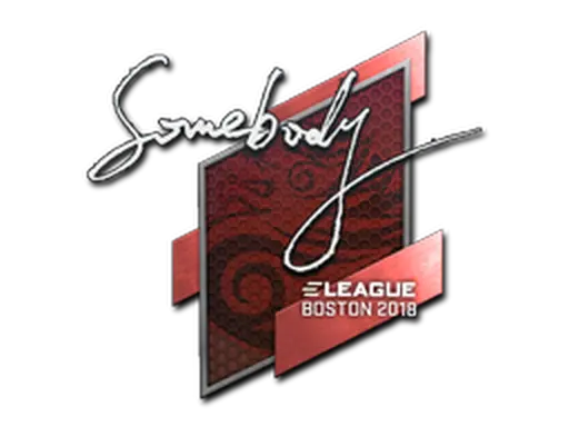 Sticker | somebody | Boston 2018