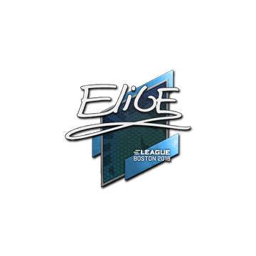 Sticker | EliGE | Boston 2018