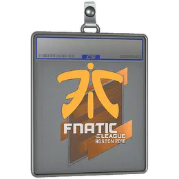 Sticker Slab | Fnatic | Boston 2018 image