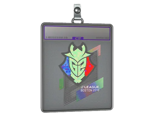 Sticker Slab | G2 Esports (Holo) | Boston 2018