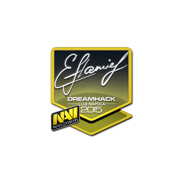 Sticker | flamie | Cluj-Napoca 2015