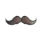 Mustachio (Foil)
