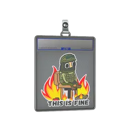 Sticker Slab | This Is Fine image