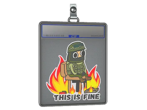 Sticker Slab | This Is Fine (CT)