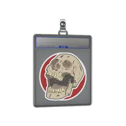 Sticker Slab | Rising Skull image