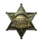 New Sheriff (Foil)