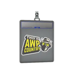 Sticker Slab | Awp Country image