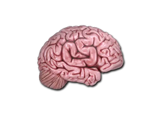 Sticker | CS On The Mind