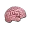 CS On The Mind