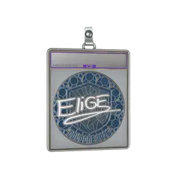 Sticker Slab | EliGE image