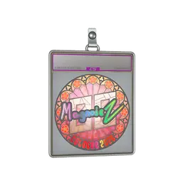 Sticker Slab | Magnojez image