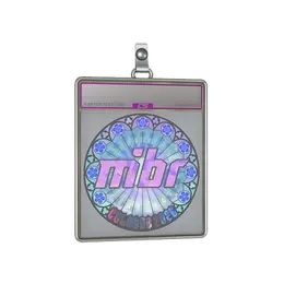 Sticker Slab | MIBR image