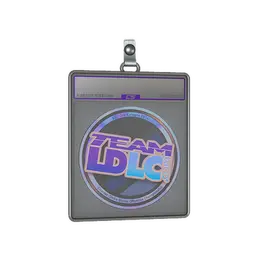 Sticker Slab | Team LDLC.com image