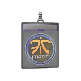 Sticker Slab | Fnatic image