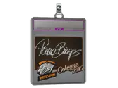 Sticker Slab | pashaBiceps image