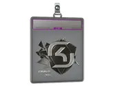Sticker Slab | SK Gaming image