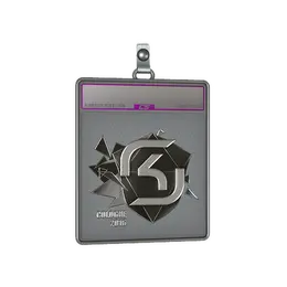 Sticker Slab | SK Gaming image