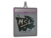 Sticker Slab | MSL image