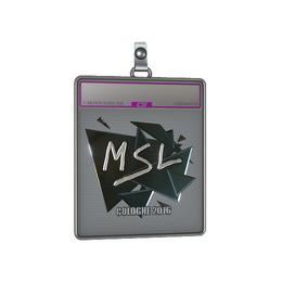 Sticker Slab | MSL image