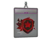 Sticker Slab | Gambit Gaming image