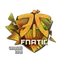 Fnatic (Holo) | Cologne 2016