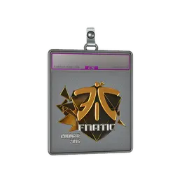 Sticker Slab | Fnatic image