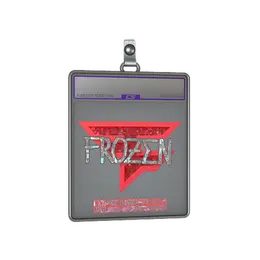 Sticker Slab | frozen image