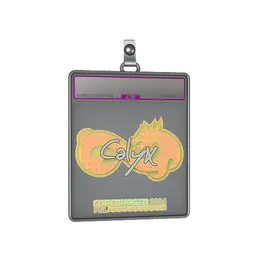 Sticker Slab | Calyx image