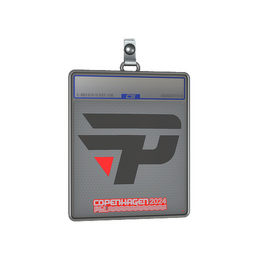 Sticker Slab | paiN Gaming | Copenhagen 2024 image