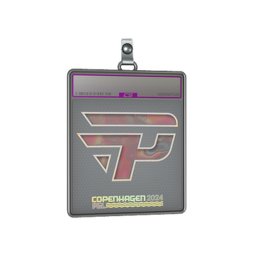 Sticker Slab | paiN Gaming (Holo) | Copenhagen 2024