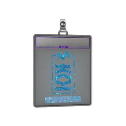 Sticker Slab | KOI image