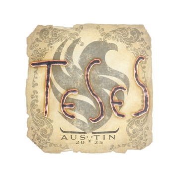 Sticker | TeSeS | Austin 2025