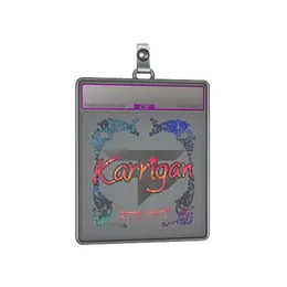 Sticker Slab | karrigan image