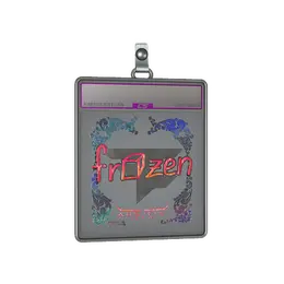 Sticker Slab | frozen image