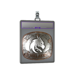 Sticker Slab | Team Spirit image