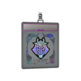 Sticker Slab | G2 Esports image