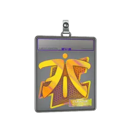 Sticker Slab | Fnatic image