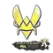 Vitality (Holo) | Antwerp 2022