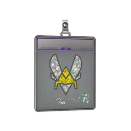 Sticker Slab | Vitality image