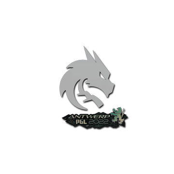 Sticker | Team Spirit | Antwerp 2022