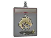 Sticker Slab | Team Spirit image
