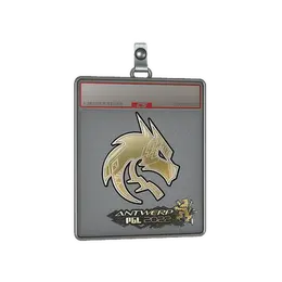 Sticker Slab | Team Spirit image