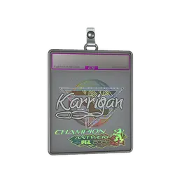 Sticker Slab | karrigan image